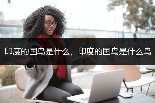 印度的国鸟是什么，印度的国鸟是什么鸟